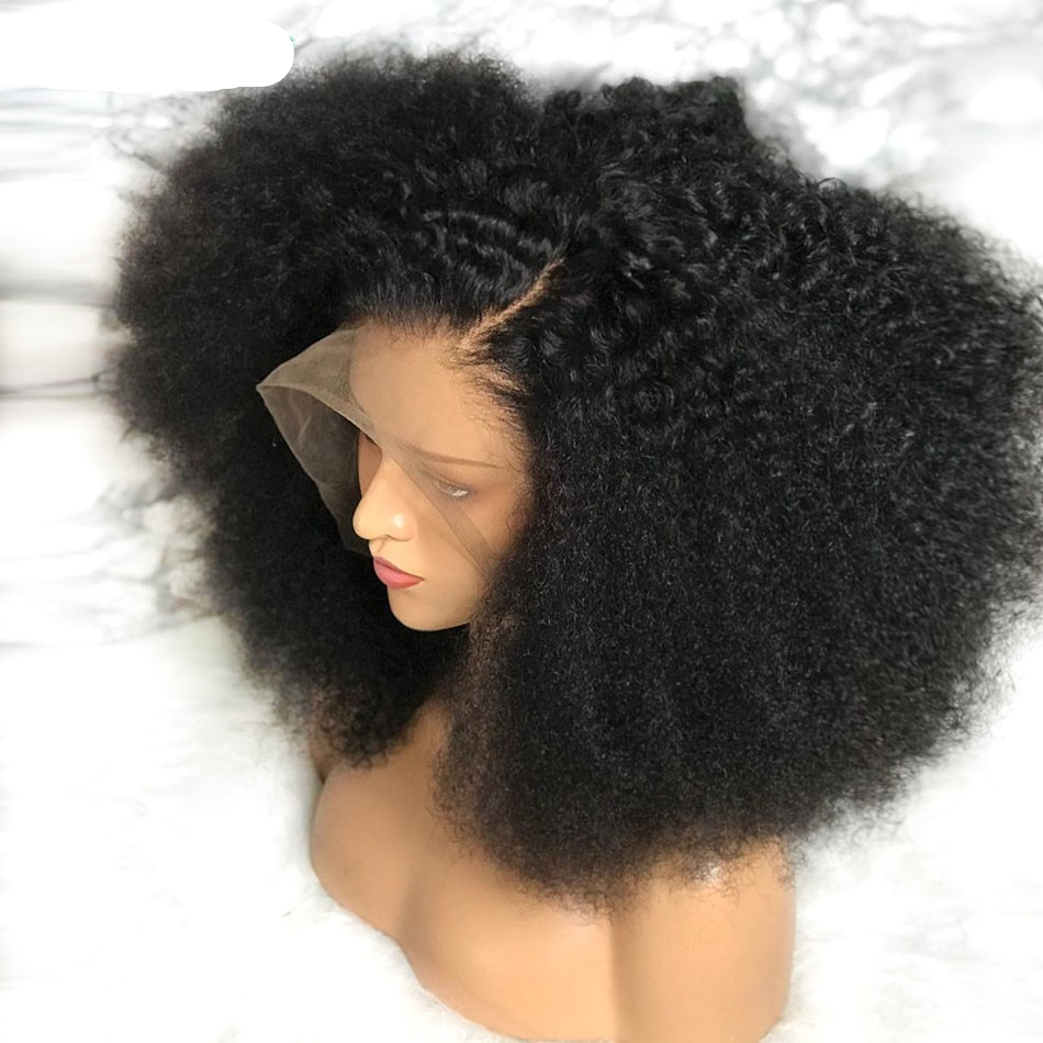 Wayfairmarket 12379-wvmfh8 Women's Afro Curly Wig  