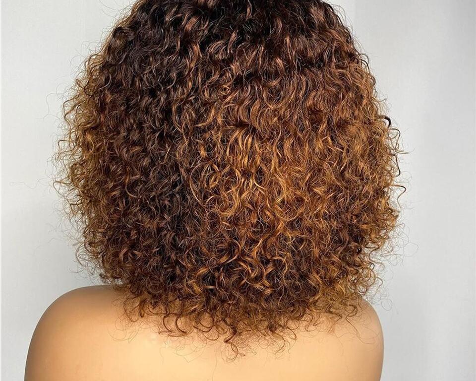 Wayfairmarket 4160-abqtsr Curly Short Human Hair Wig  