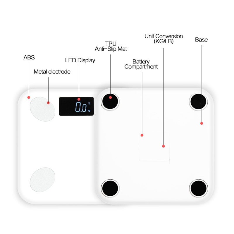 Wayfairmarket 4802-kruegl Bluetooth Smart Scale in White  