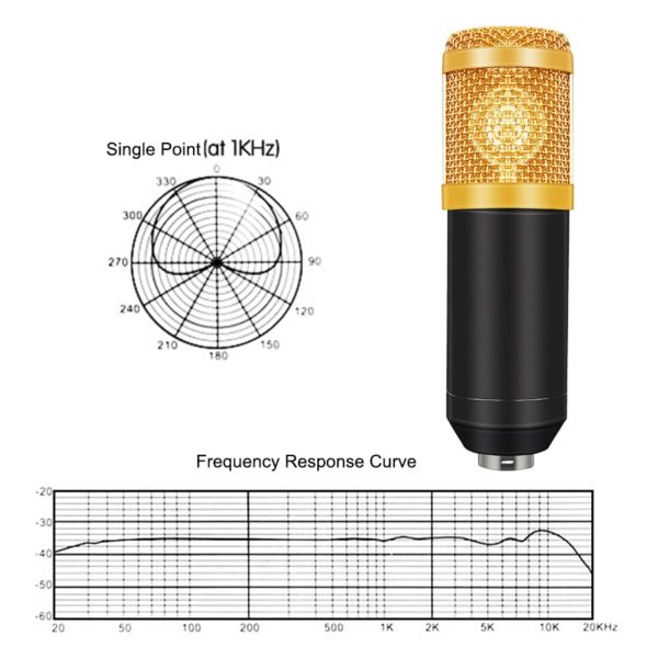 Professional Recording Microphone Set