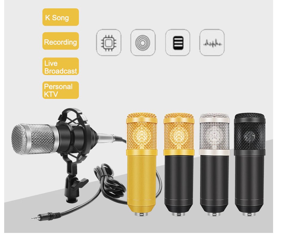 Wayfairmarket 6429-ewjoc8 Professional Recording Microphone Set  