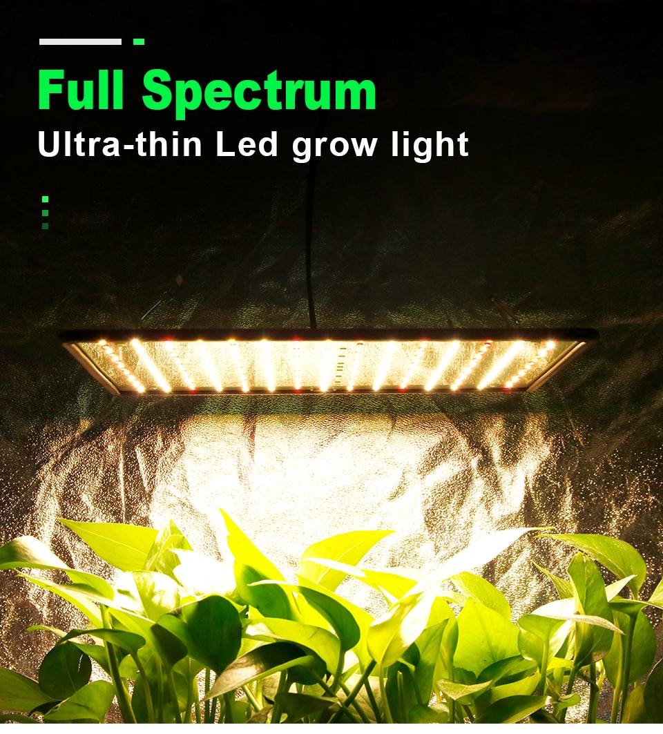 Wayfairmarket 8328-dq7liv Ultra Light Full Spectrum Hydroponics Lamp  