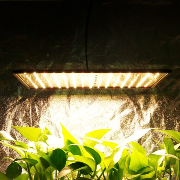 Ultra Light Full Spectrum Hydroponics Lamp