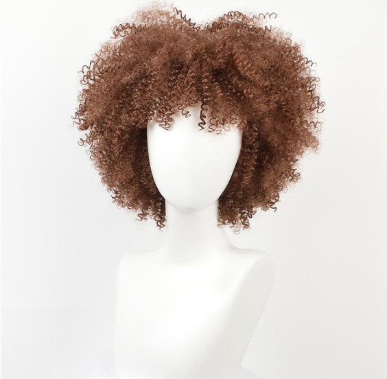 Wayfairmarket 9468-nzjeba Afro Curly Synthetic Hai Wig  