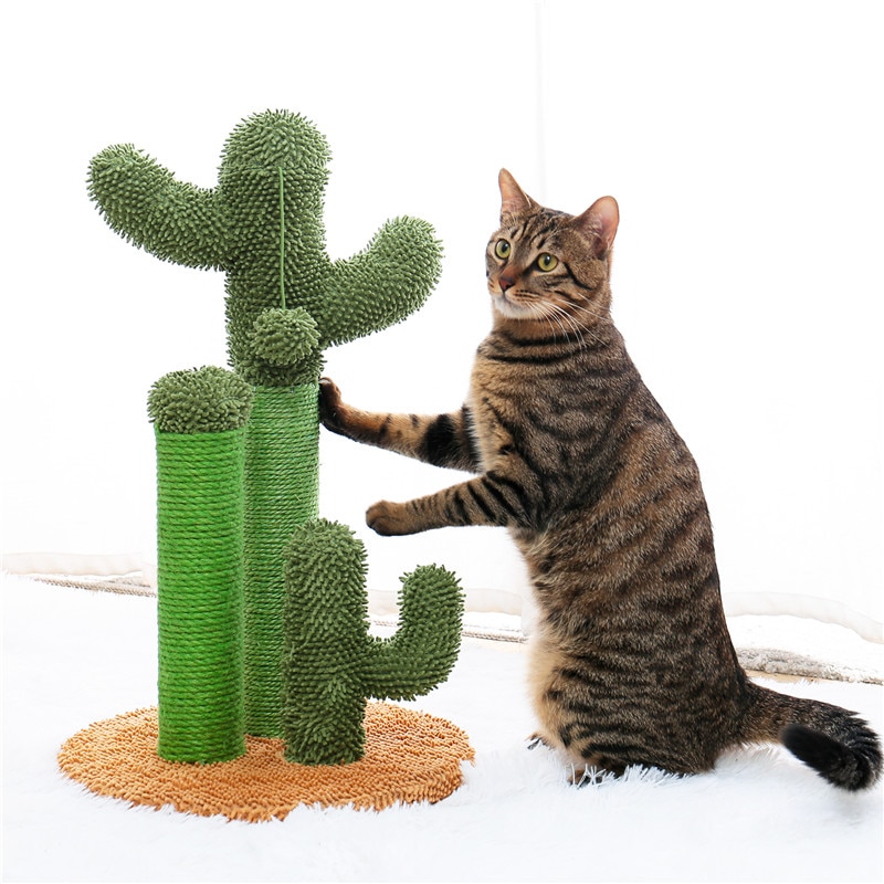 Wayfairmarket 9908-jlux9e Cactus Shaped Cat Scratching Post  