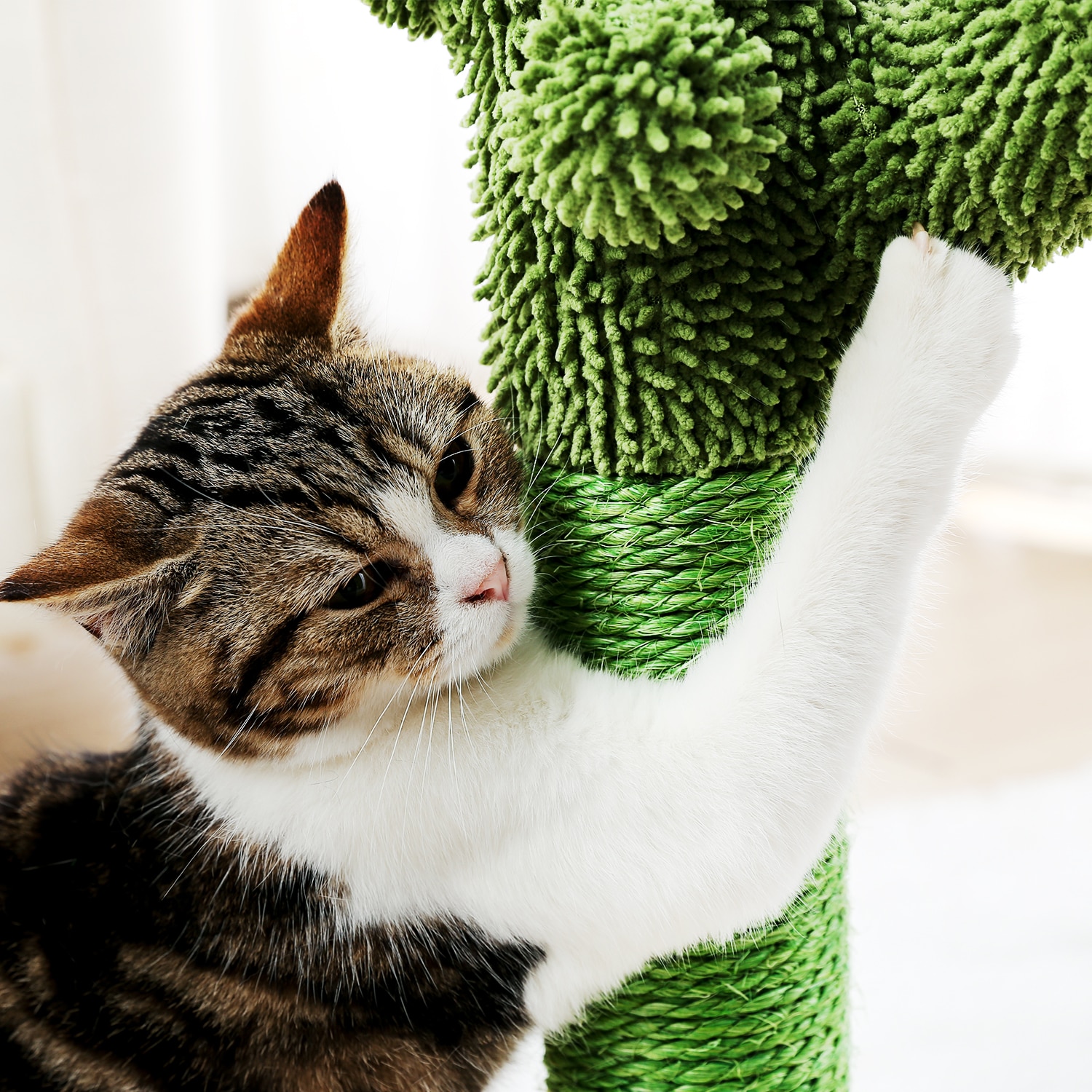 Wayfairmarket 9908-okor8b Cactus Shaped Cat Scratching Post  