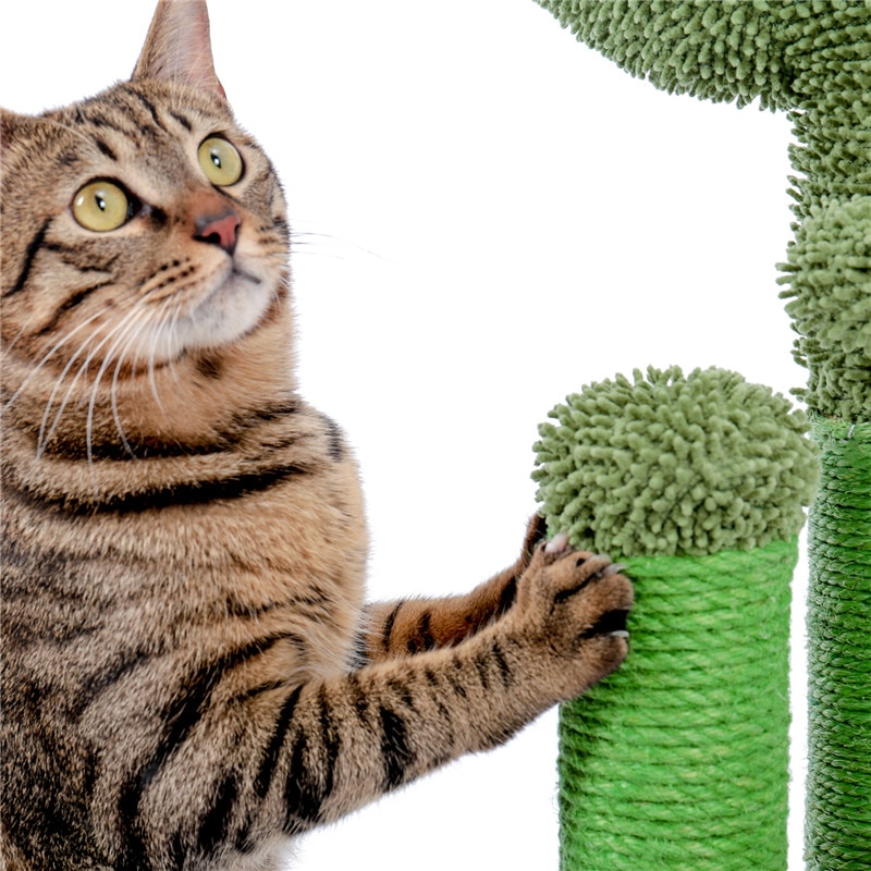 Wayfairmarket 9908-tcxnqd Cactus Shaped Cat Scratching Post  